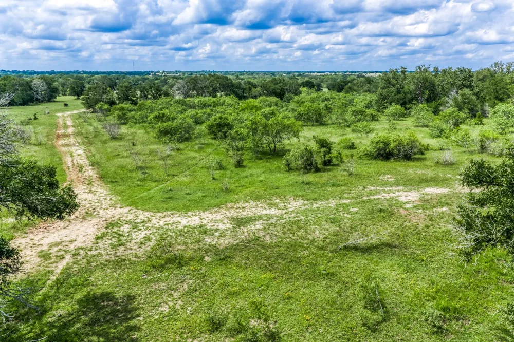 237 Hwy 36 S Caldwell, TX 77836