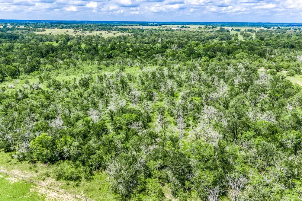 237 Hwy 36 S Caldwell, TX 77836
