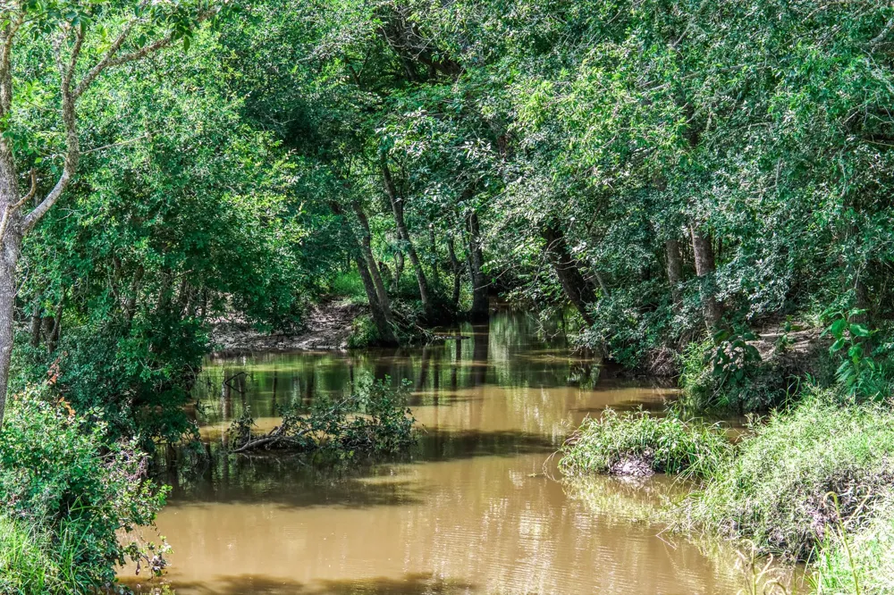 237 Hwy 36 S Caldwell, TX 77836