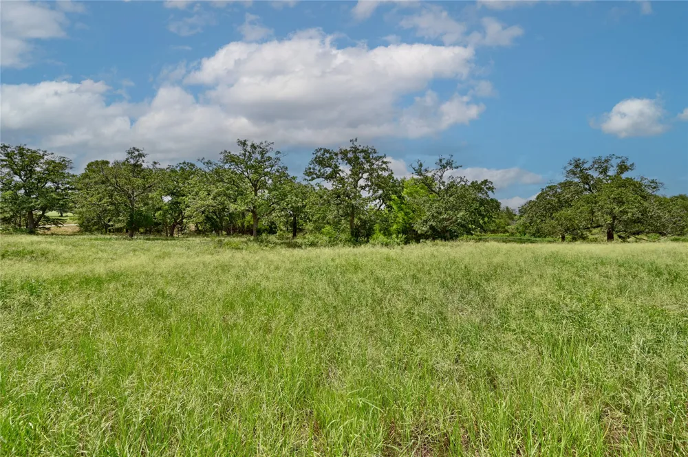 180 Sunny Day Dr Red Rock, TX 78662