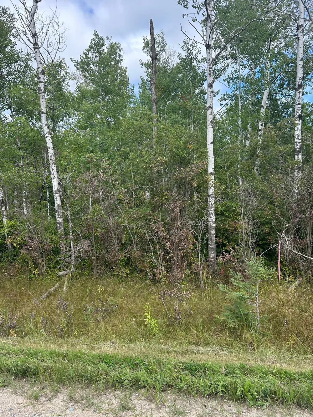 TBD 340th Avenue Roseau, MN 56751