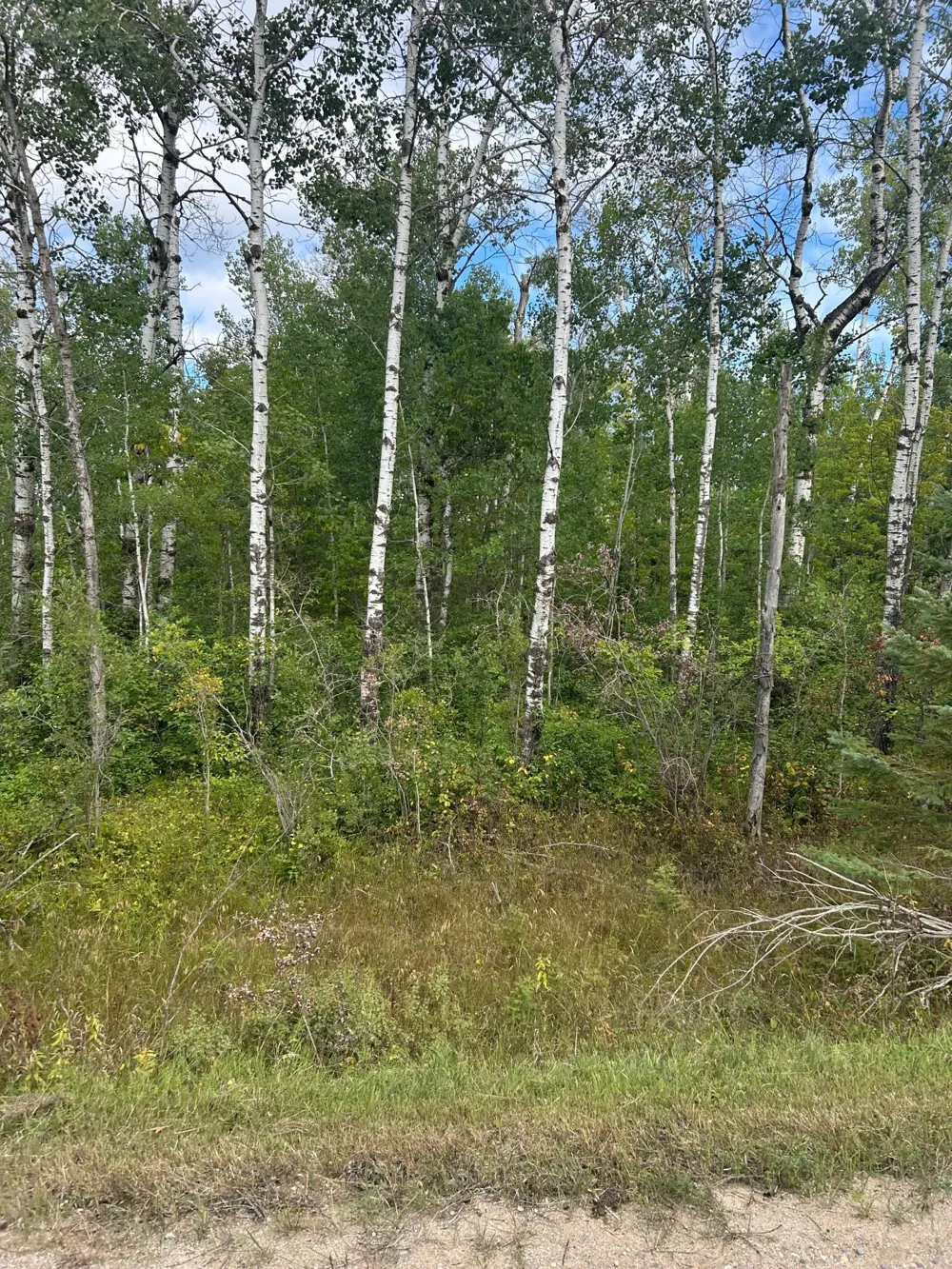 TBD 340th Avenue Roseau, MN 56751
