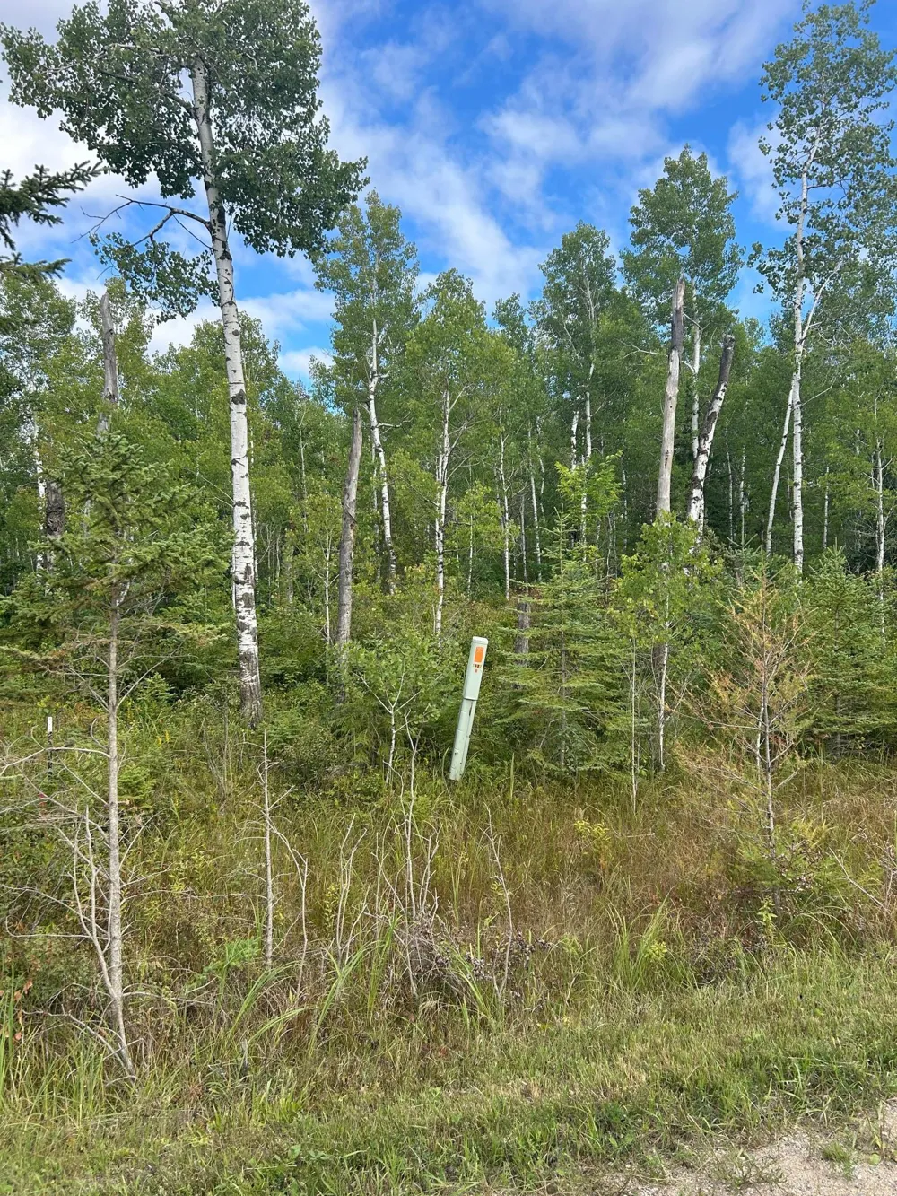 TBD 340th Avenue Roseau, MN 56751