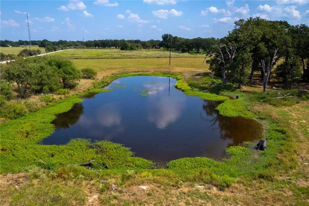 11733 Winstead Lane Calvert, TX 77837