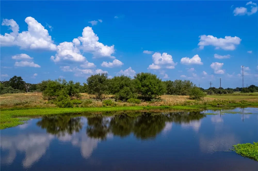 11733 Winstead Lane Calvert, TX 77837
