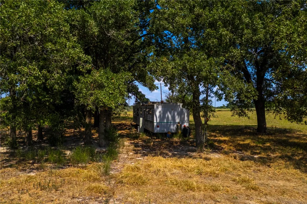 11733 Winstead Lane Calvert, TX 77837