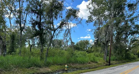 SEMINOLE LAKE BLVD & HICKMAN AVE