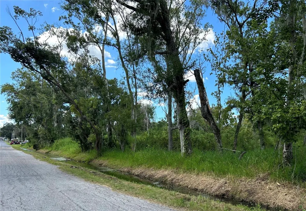 SEMINOLE LAKE BLVD & HICKMAN AVE Plant City, FL 33563