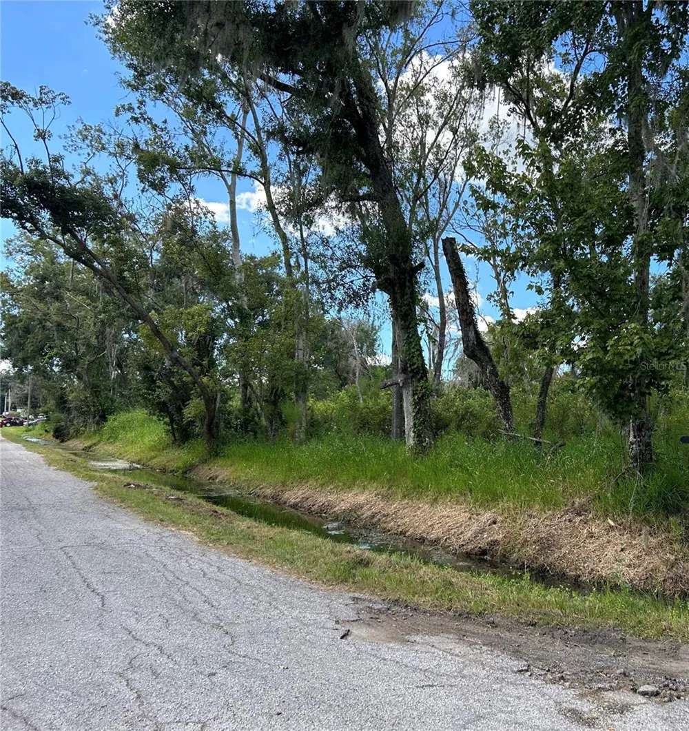 SEMINOLE LAKE BLVD & HICKMAN AVE Plant City, FL 33563