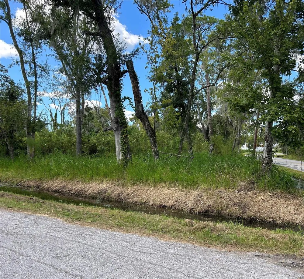 SEMINOLE LAKE BLVD & HICKMAN AVE Plant City, FL 33563