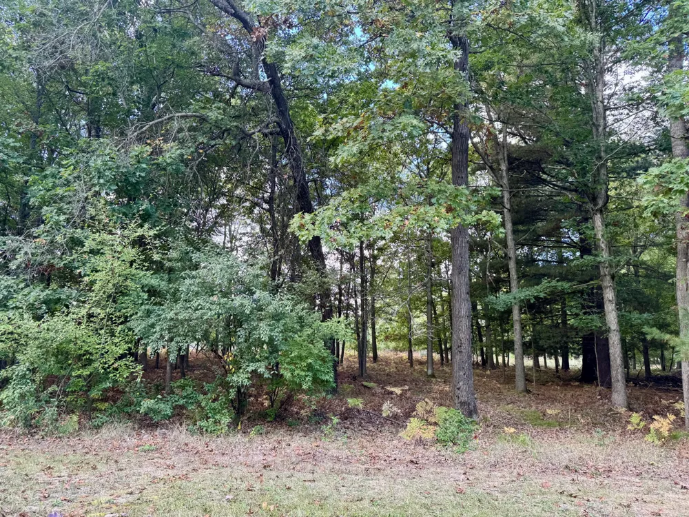 6485 Dunhill Drive Canadian Lakes, MI 49346