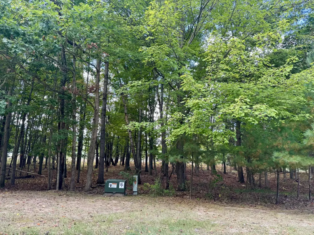 6485 Dunhill Drive Canadian Lakes, MI 49346