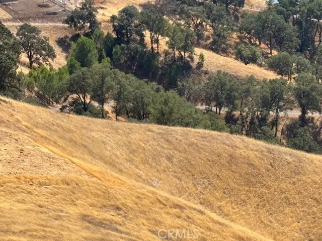 7700 Bruner Drive Glenhaven, CA 95443