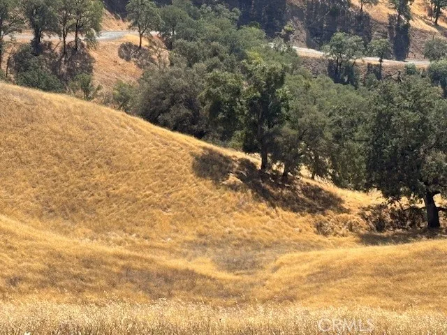 7700 Bruner Drive Glenhaven, CA 95443