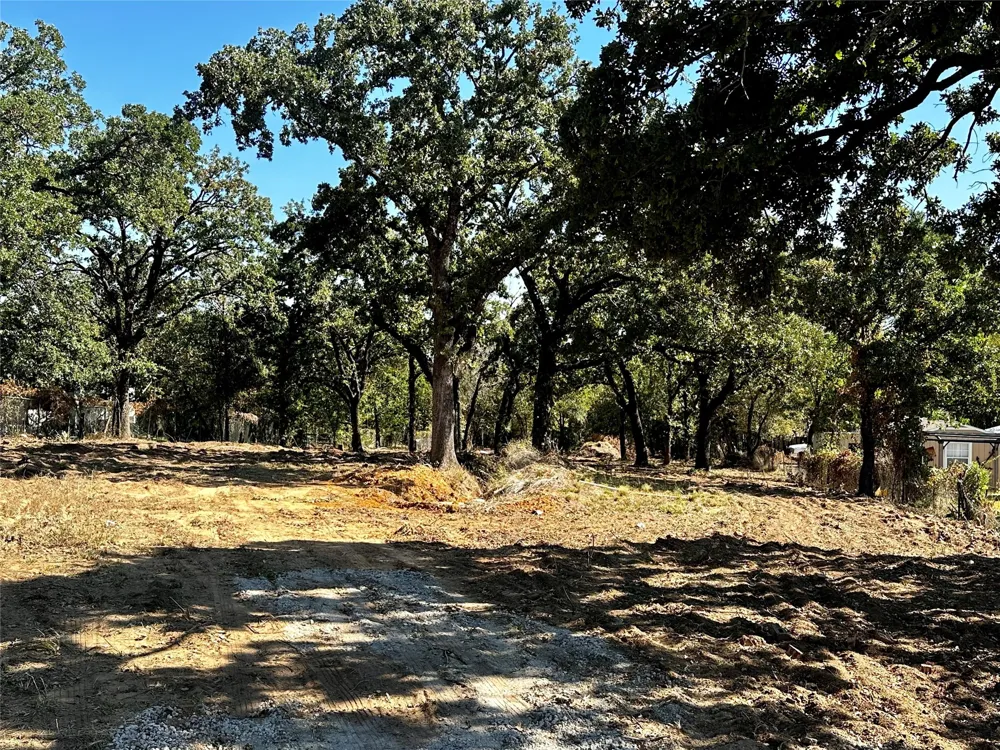 7347 Remington Road Mansfield, TX 76063