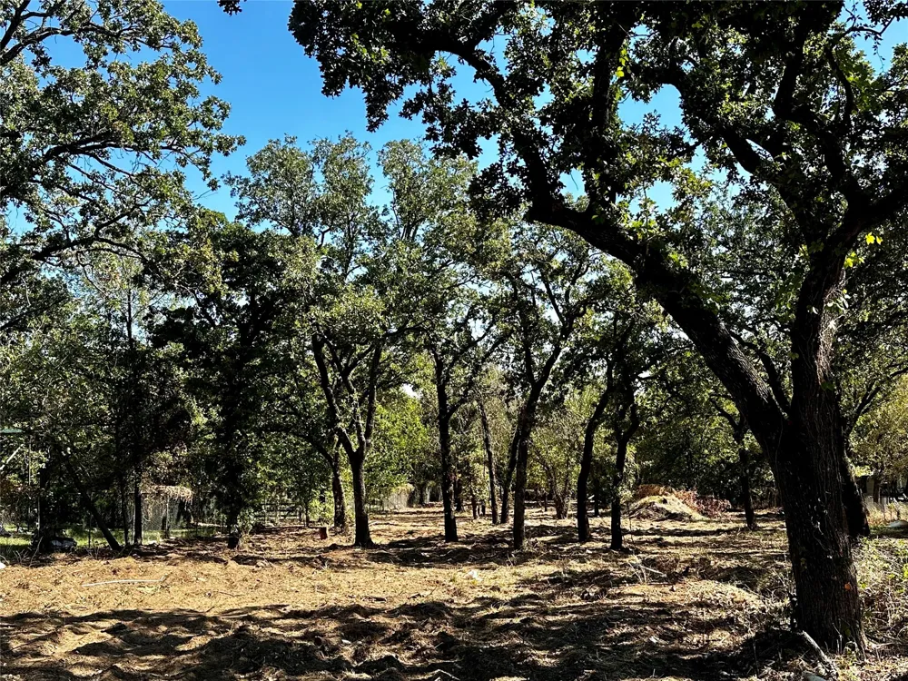 7347 Remington Road Mansfield, TX 76063