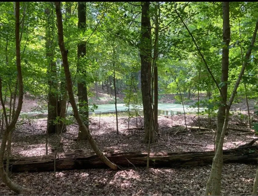359 Co Rd 4 Calhoun, TN 37309