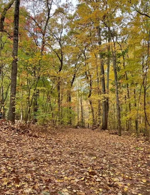 359 Co Rd 4 Calhoun, TN 37309