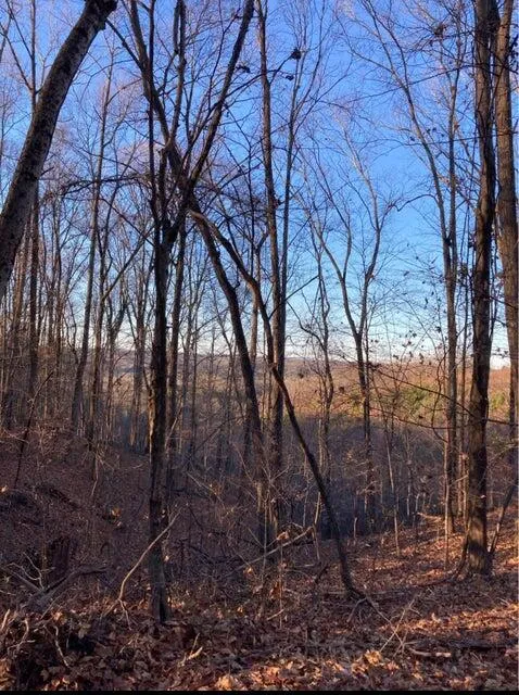 359 Co Rd 4 Calhoun, TN 37309