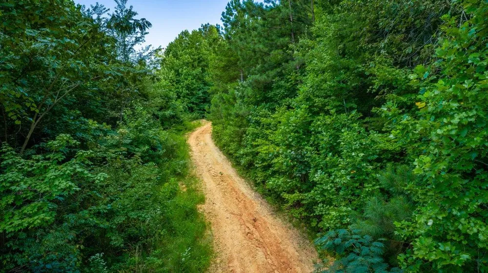 359 Co Rd 4 Calhoun, TN 37309