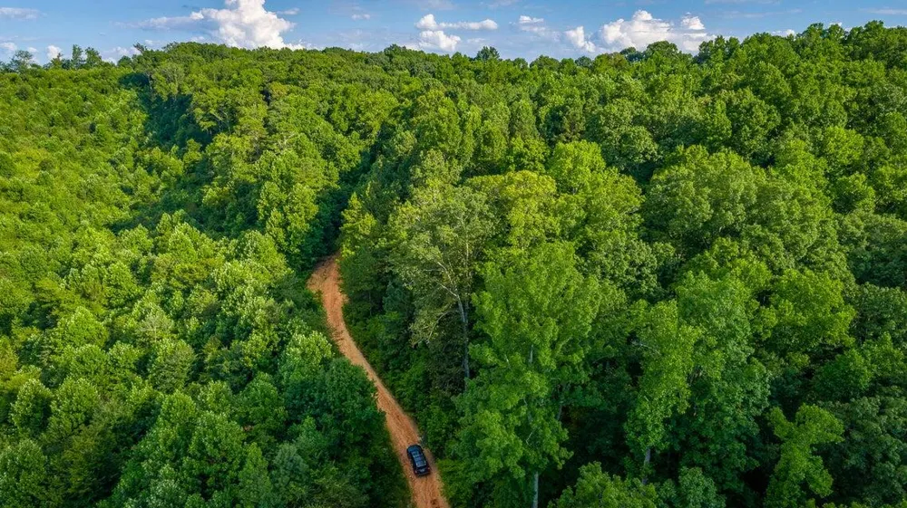 359 Co Rd 4 Calhoun, TN 37309