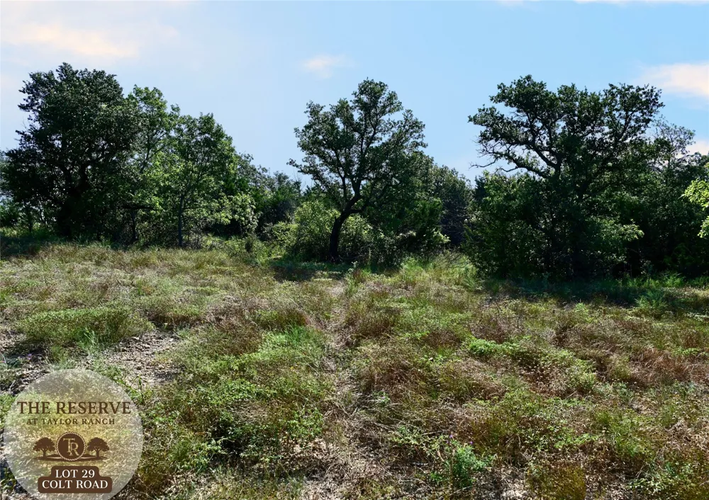 Colt- Road Springtown, TX 76082
