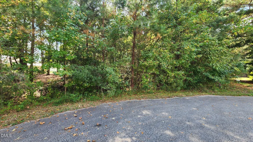 257 Fairhaven Drive Zebulon, NC 27597