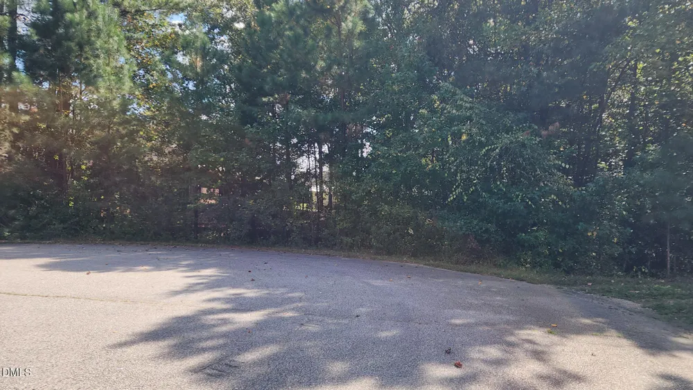 257 Fairhaven Drive Zebulon, NC 27597