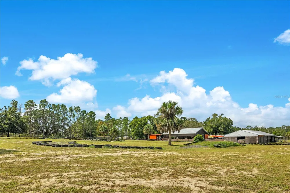 32708 GERE LANE Sorrento, FL 32776