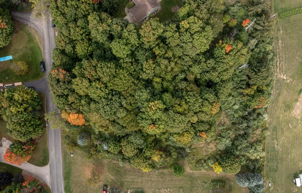 7 Hill N Dale Hart, MI 49420
