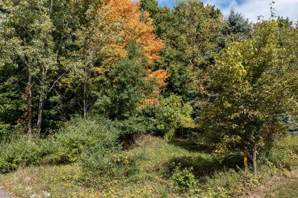 7 Hill N Dale Hart, MI 49420