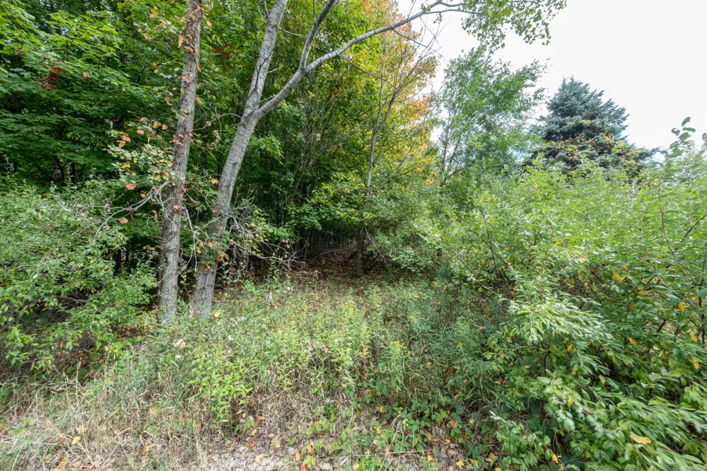 7 Hill N Dale Hart, MI 49420
