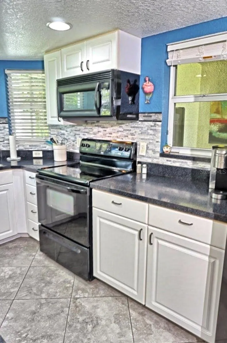 21107 FOUNTAIN VIEW LANE #5102 Lutz, FL 33558