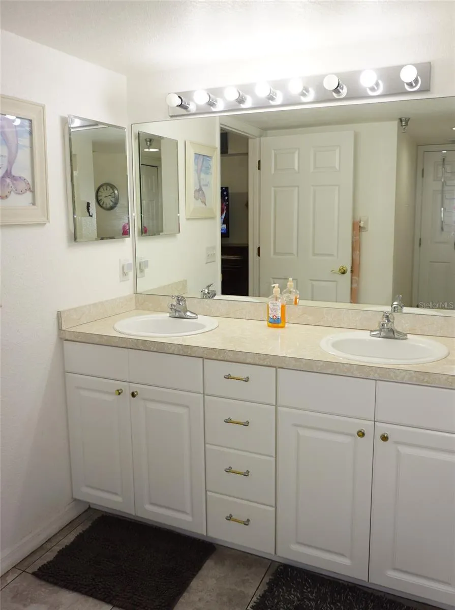 21107 FOUNTAIN VIEW LANE #5102 Lutz, FL 33558