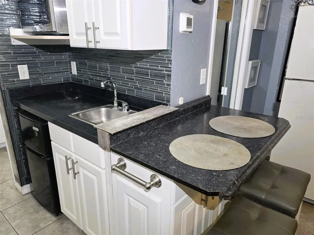 21107 FOUNTAIN VIEW LANE #5102 Lutz, FL 33558