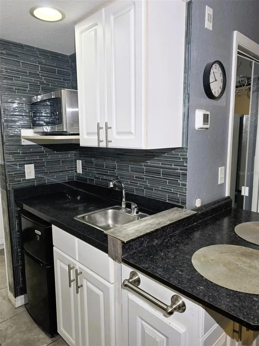 21107 FOUNTAIN VIEW LANE #5102 Lutz, FL 33558