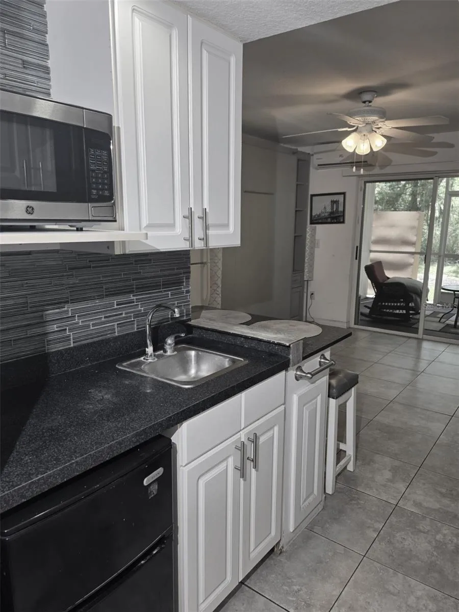 21107 FOUNTAIN VIEW LANE #5102 Lutz, FL 33558