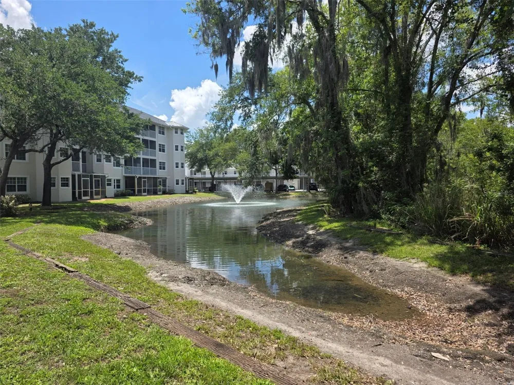 21107 FOUNTAIN VIEW LANE #5102 Lutz, FL 33558