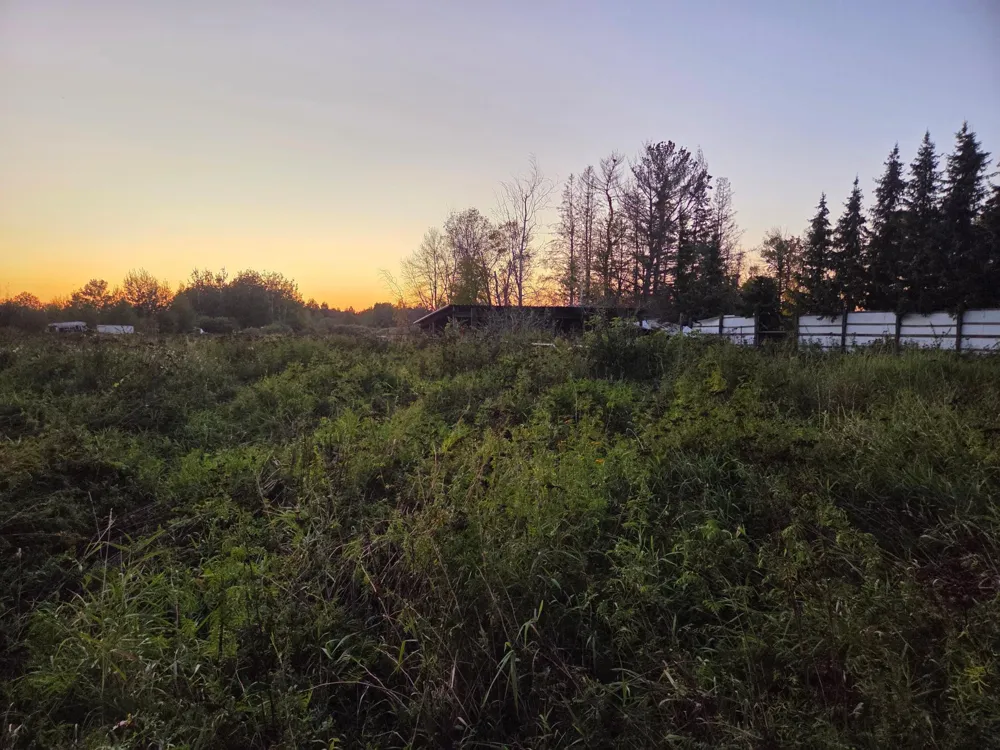36101 Pincherry RD Cohasset, MN 55721