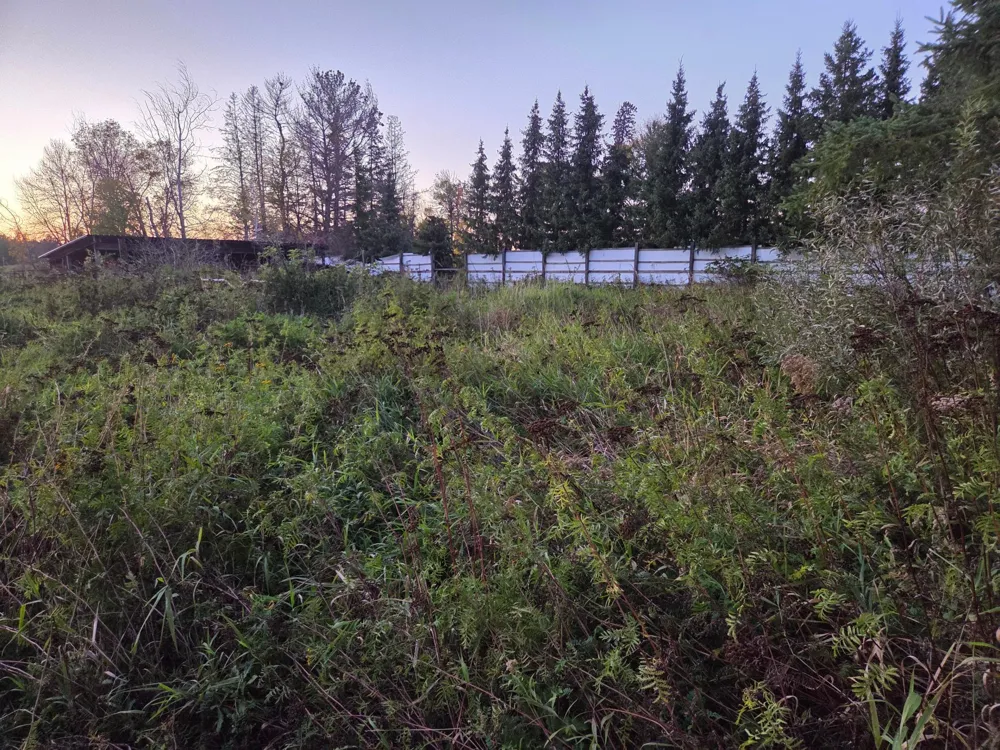 36101 Pincherry RD Cohasset, MN 55721