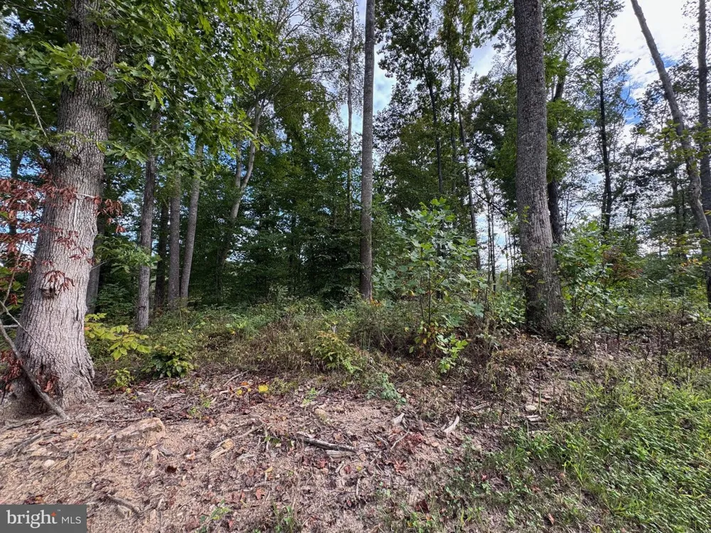 COMPASS COVE Mineral, VA 23117