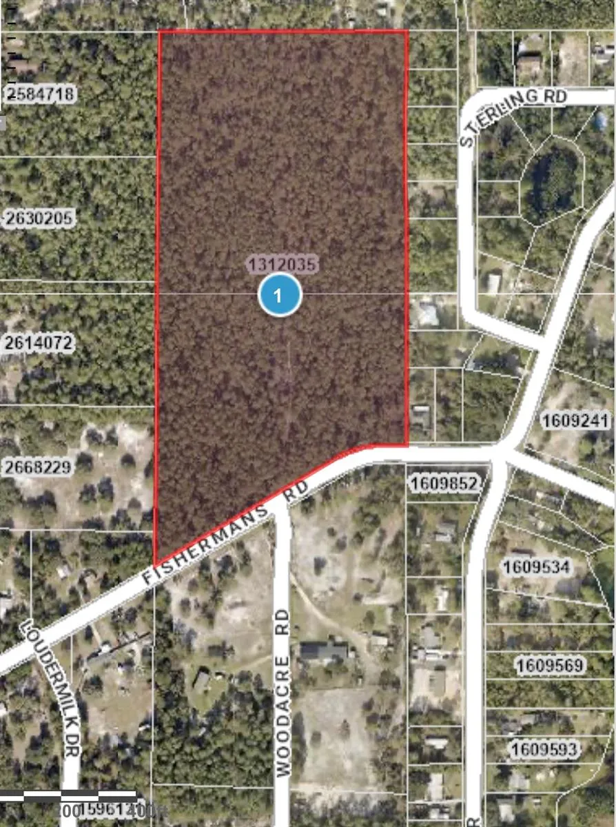 FISHERMANS ROAD Paisley, FL 32767