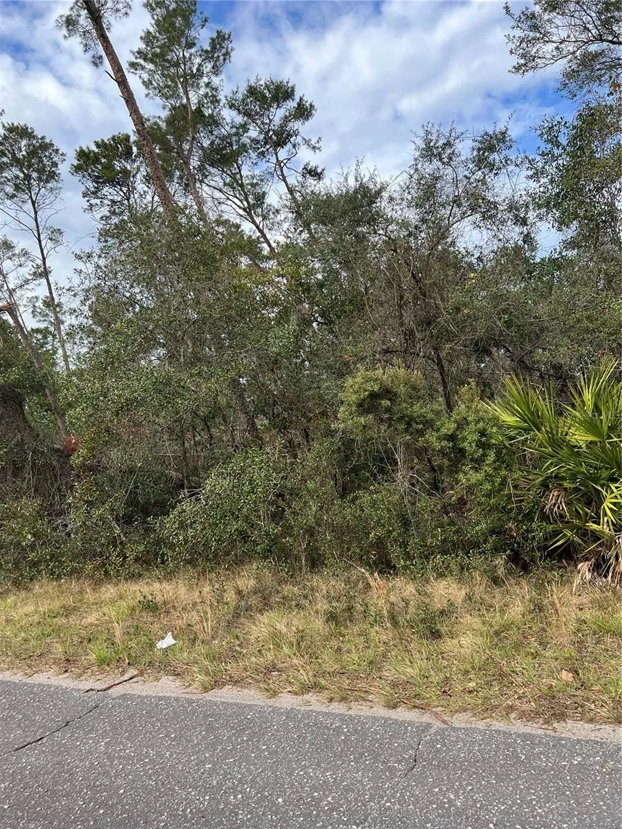 FISHERMANS ROAD Paisley, FL 32767