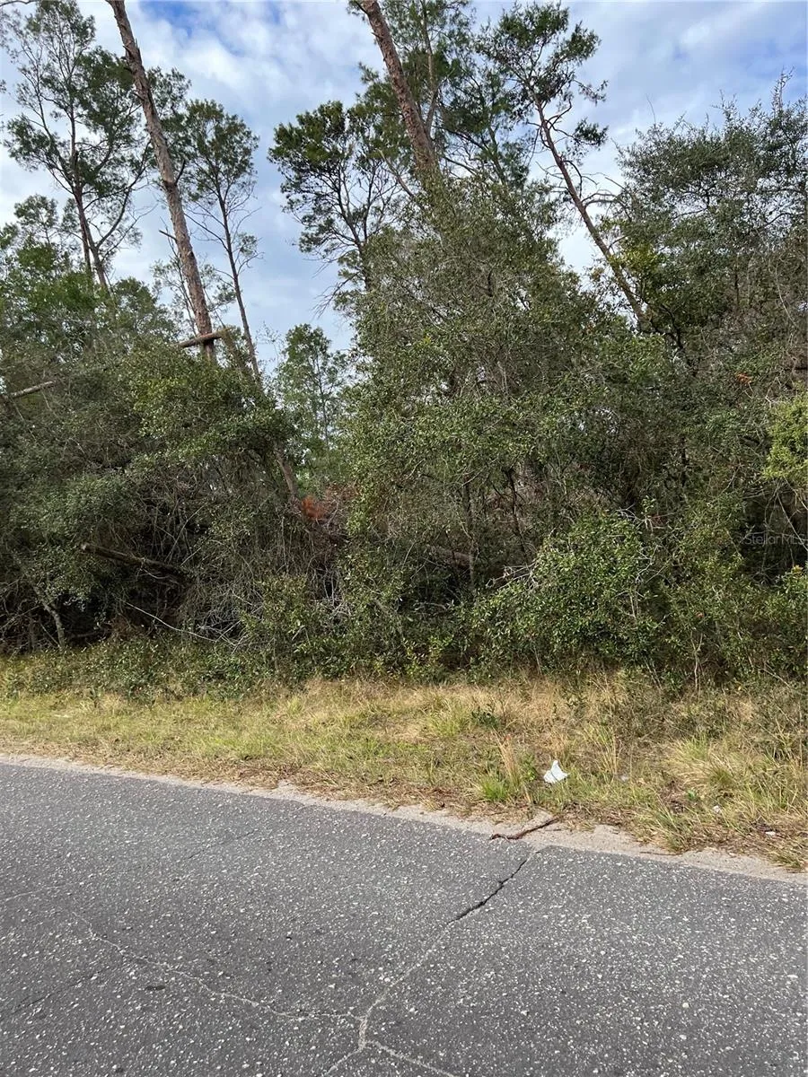 FISHERMANS ROAD Paisley, FL 32767