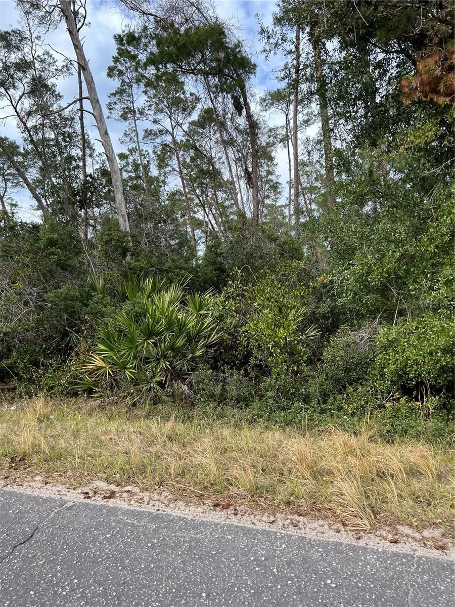 FISHERMANS ROAD Paisley, FL 32767