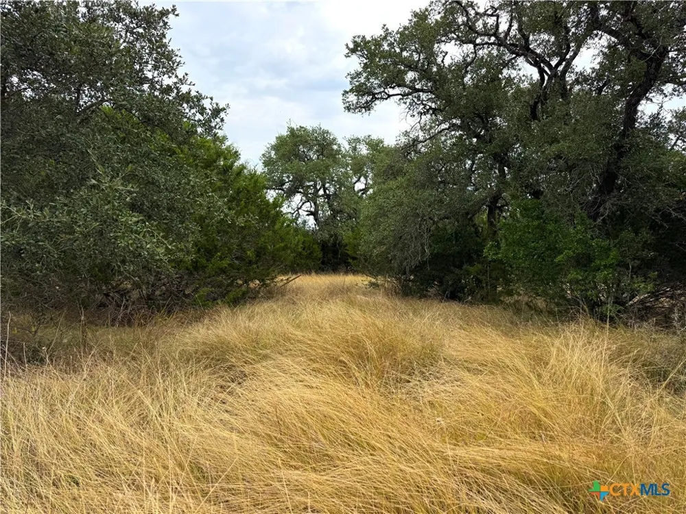 127 Nt Journey Blanco, TX 78606
