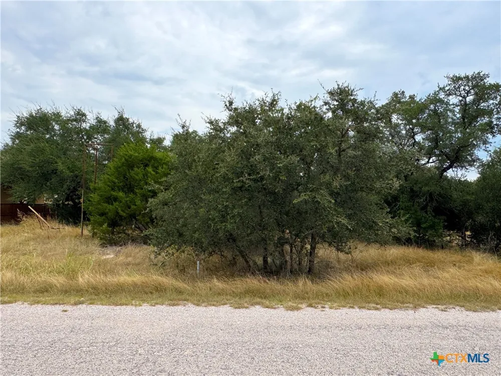 127 Nt Journey Blanco, TX 78606