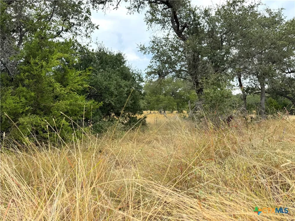 127 Nt Journey Blanco, TX 78606