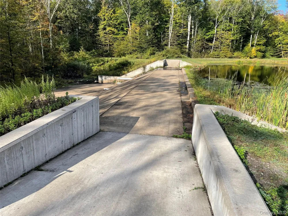 tbd Lake Shore Drive Pine Bush, NY 12566