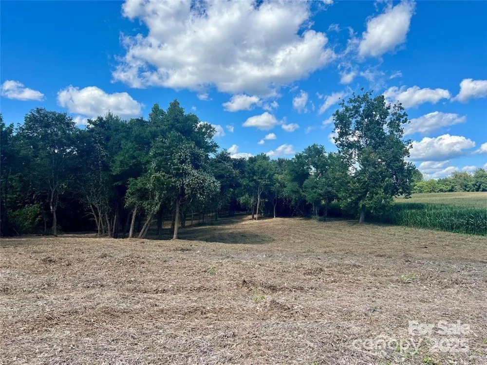 2095 Hatties Way #3 Hamptonville, NC 27020